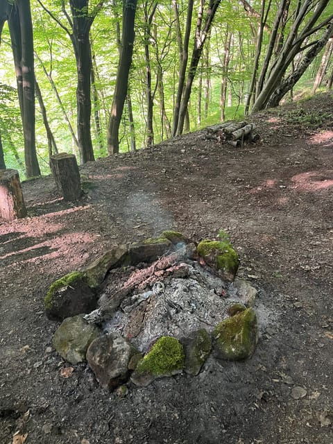 Rzeszów: Countryside trip with bonfire & sausage grilling - Connecting and Sharing