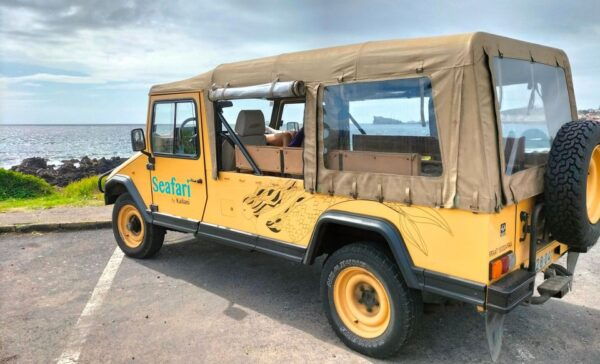 S. Miguel: Snorkeling Adventure in 4x4 Tour - Important Information