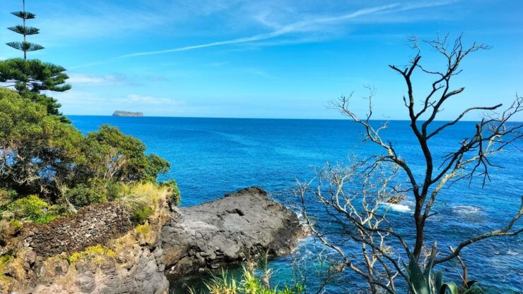 S. Miguel: Snorkeling Adventure in Caloura - Good To Know