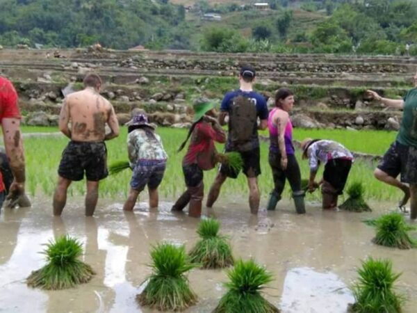 Sa Pa: 2-Day Trekking Trip With Ethnic Minority Homestay - The Sum Up