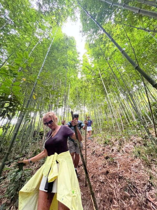 Sa Pa: Cang Hmong Sapa Trekking Tour - An Authentic Journey Through Sa Pa’s Scenic Landscape