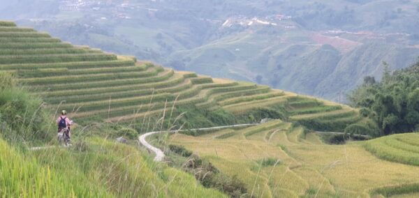 Sa Pa: Guided Motorbike Tour to Ethnic Villages With Lunch - Common Questions