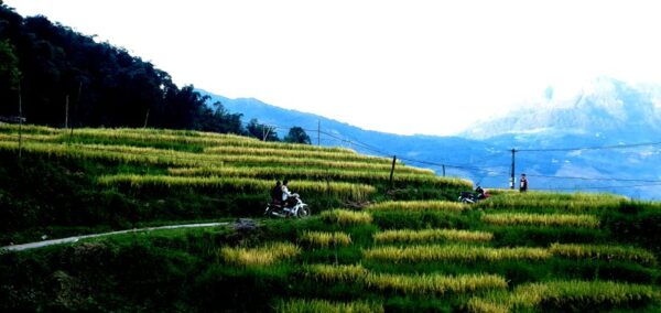 Sa Pa: Guided Motorbike Tour to Ethnic Villages With Lunch - The Sum Up