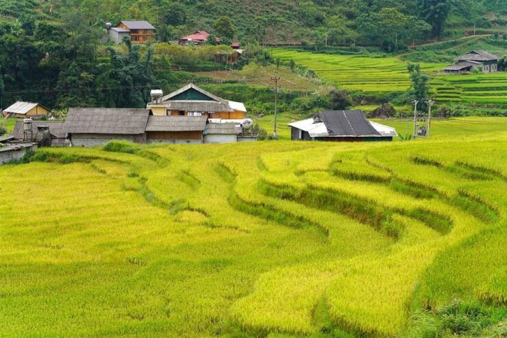 Sa Pa: Half-Day Cat Cat Village Hike to Meet Hmong People - Detailed Itinerary