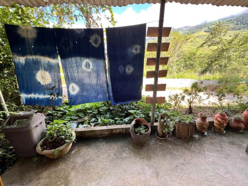 Sa Pa - Indigo Dyeing Hands-On Craft Experience - Good To Know