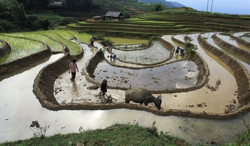 Sa Pa: Muong Hoa Valley Trek and Local Ethnic Villages - Trek Details