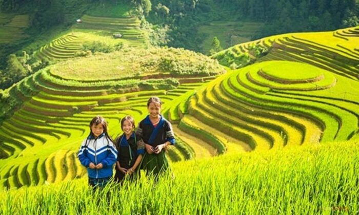 Sa Pa: Muong Hoa Valley Trek and Local Ethnic Villages - Frequently Asked Questions