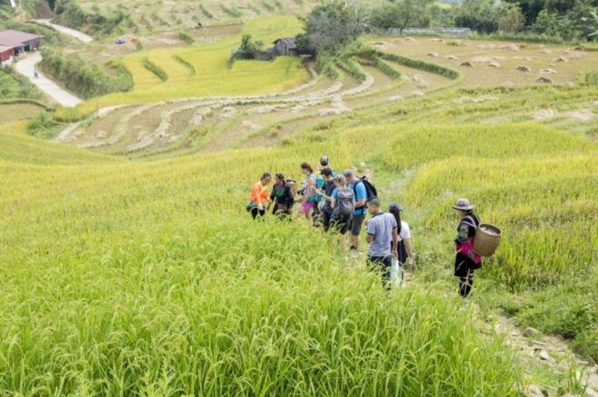 Sa Pa: Muong Hoa Valley Trek and Local Ethnic Villages Tour - Cultural Experiences