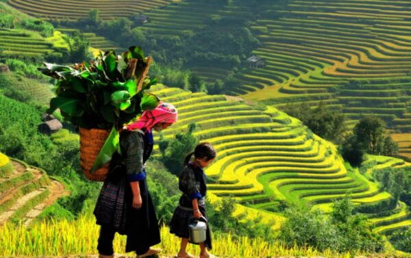 Sa Pa: Muong Hoa Valley Trek and Local Ethnic Villages Tour - Important Information