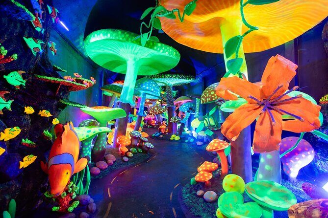 Sa Pa O Quy Ho Heaven Gate and O Quy Ho Fairy Valley in Vietnam - Authentic Insights from Reviewers