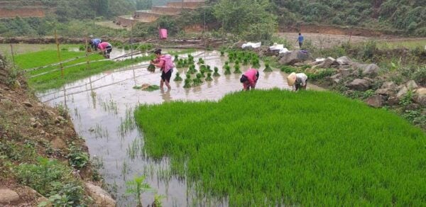 Sa Pa: Private Guided Tour on a Motorbike With Lunch - Lunch at a Local House