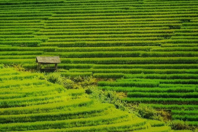 Sa Pa Trekking 2 Days 3 Nights Homestay by Night Train - A Journey Into the Heart of Sapa