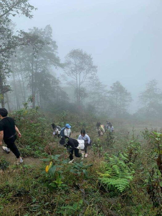SA PA TREKKING 2D/1N THROUGH NATURE AND CULTURE WITH LALA - Recommendations and Considerations