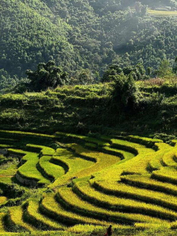 SA PA TREKKING 2D/1N WITH LALAS FAMILY - Detailed Itinerary for Day 1