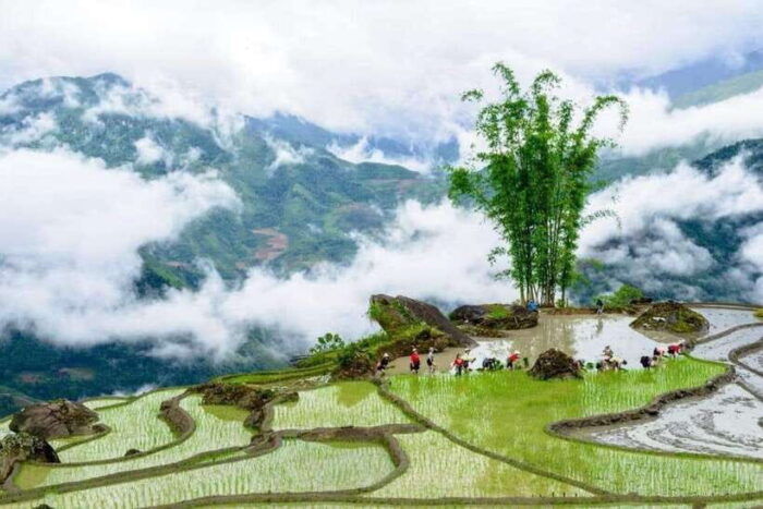 SA PA TREKKING 2D/1N WITH LALAS FAMILY - Enjoying the Bamboo Forest, Waterfall, and Lunch in Giảng Ta Chải