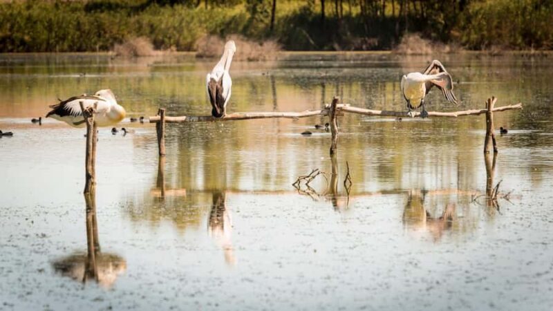 SA Riverland: 3-Day Murray River & National Parks Eco Tour - SA Riverland: 3-Day Murray River & National Parks Eco Tour — An In-Depth Review