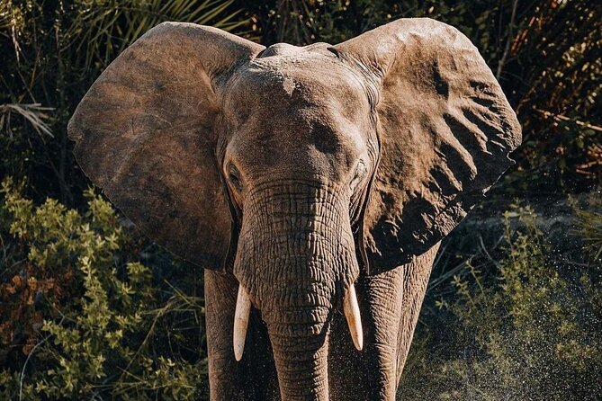 Saadani National Park Day Tour - Cancellation and Refund Policy