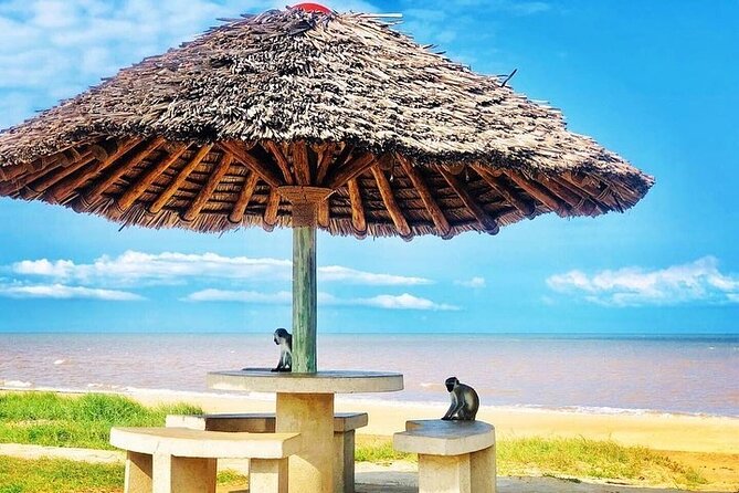 Saadani National Park Day Tour - Traveler Reviews