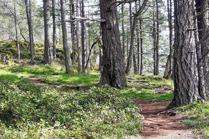 Saanich Peninsula Highlights Private Tour  - Vancouver Island - Common Questions