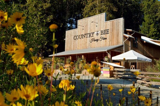 Saanichton: Family-Friendly Farm Experience - Exploring the Sunflower and Wildflower Fields