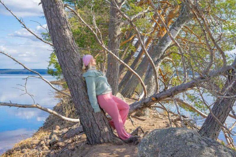 Saarijärvi: Scenic Lakeside Forest Walk with Campfire Food - An In-Depth Look at the Saarijärvi Experience