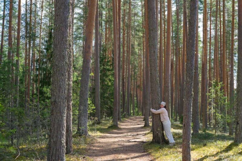 Saarijärvi: Scenic Lakeside Forest Walk with Campfire Food - FAQ