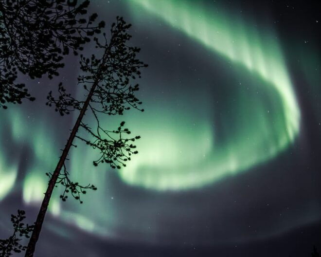 Saariselkä: Aurora Photo Tour by Car With Transfer & Drinks - Tips for a Successful Experience