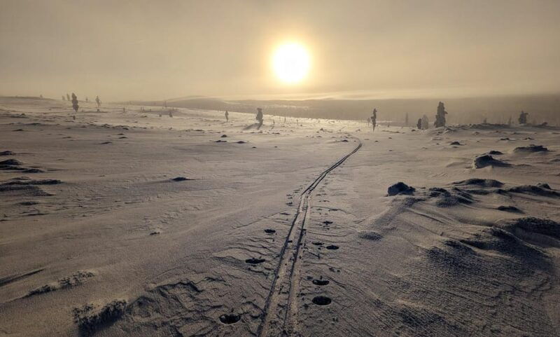 Saariselkä: Back-Country Skiing Guided Tour - What You Can Expect from the Saariselkä Back-Country Skiing Tour