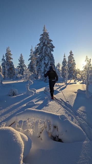 Saariselkä: Back-Country Skiing Guided Tour - Who Should Consider This Tour?