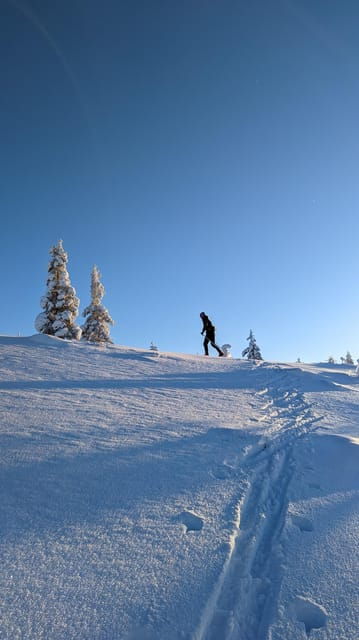 Saariselkä: Back-Country Skiing Guided Tour - FAQ