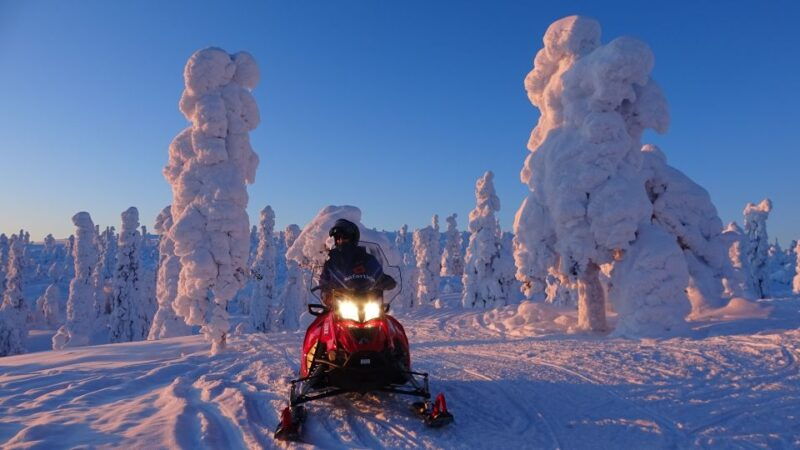 Saariselkä: Evening Snowmobile Tour with Fire & picnic - Good To Know