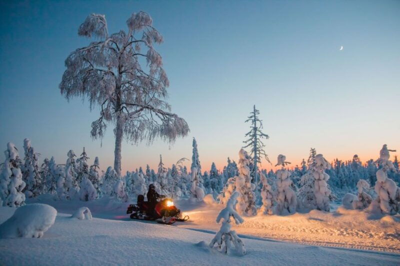 Saariselkä: Evening Snowmobile Tour with Fire & picnic - Why Choose This Tour?