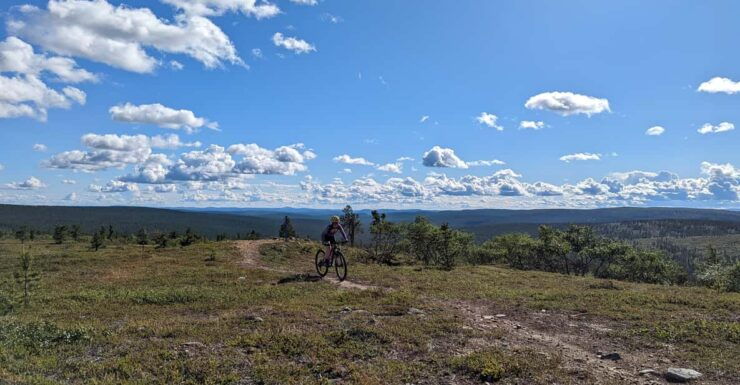 Saariselkä: Flow Trails and Rock Gardens Mountain Bike Tour - Experience Highlights