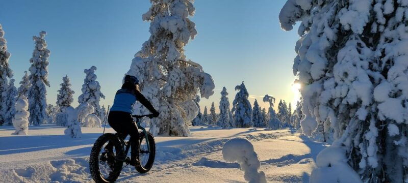 Saariselkä: Guided Fatbike Tour - Good To Know
