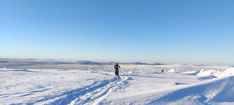 Saariselkä: Guided Fatbike Tour - Why This Tour Stands Out