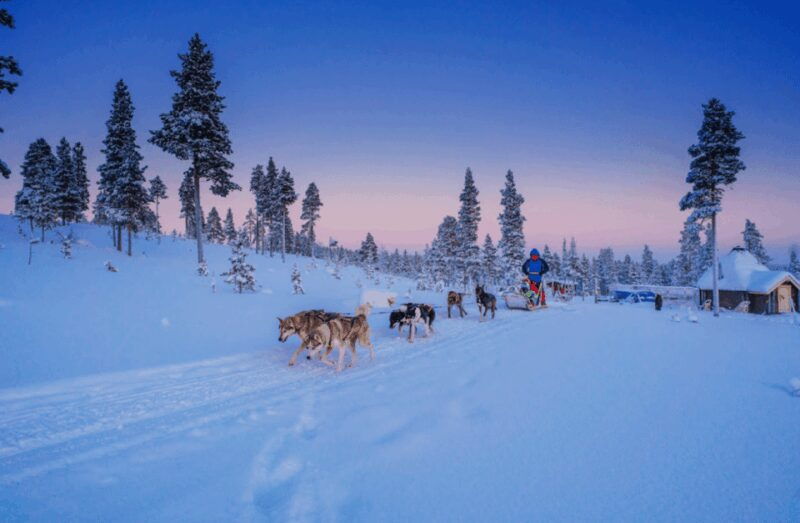 Saariselkä: Husky Safari with Aurora Borealis Hunt - What to Expect on This Saariselkä Husky Safari