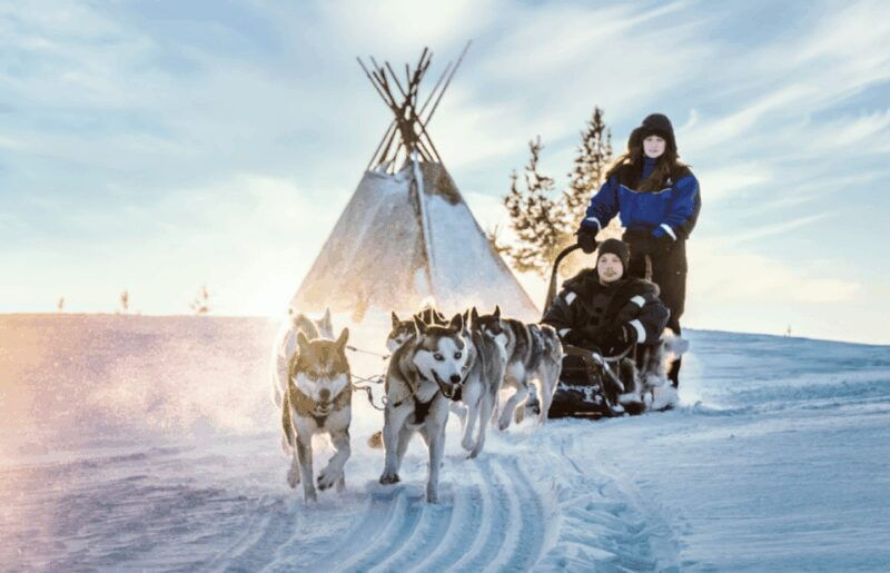Saariselkä: Husky Safari with Aurora Borealis Hunt - Practical Tips and Considerations