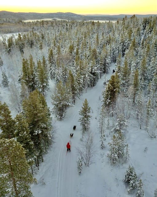 Saariselkä: Husky Safari with kennel visit - Good To Know
