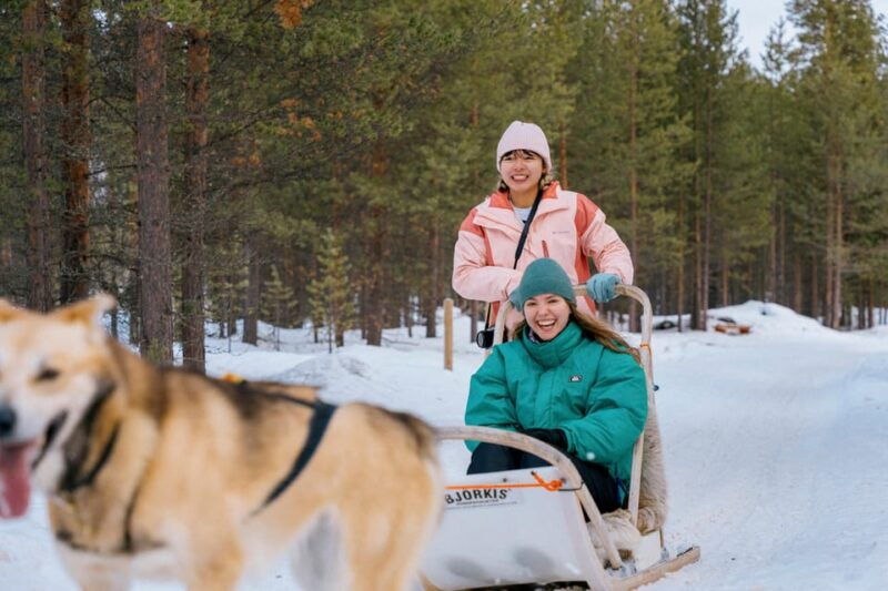 Saariselkä: Husky Safari with kennel visit - An In-Depth Look at the Tour