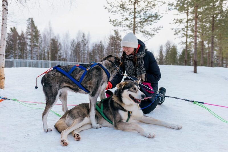 Saariselkä: Husky Safari with kennel visit - Who Would Love This Tour?