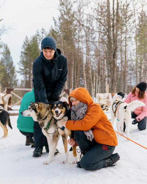 Saariselkä: Husky Safari with kennel visit - FAQ