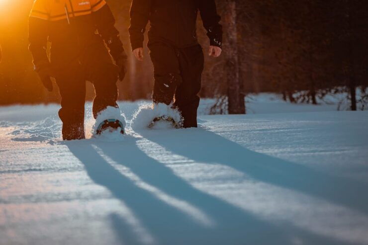 Saariselkä: Northern Lights Hunting Snowshoe Trip - Good To Know