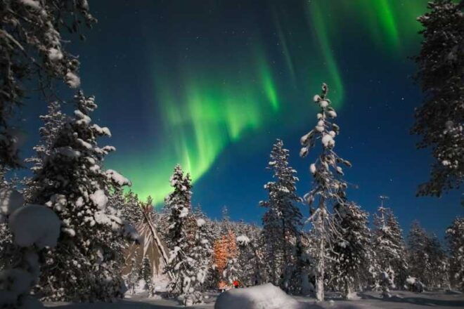 Saariselkä: Northern Lights Hunting Snowshoe Trip - Booking Information