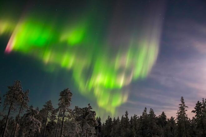 Saariselkä: Northern Lights Hunting Snowshoe Trip - Important Details
