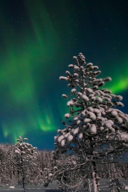Saariselkä: Northern Lights Hunting Snowshoe Trip - Customer Reviews