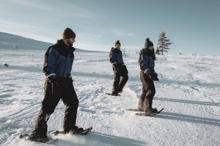 Saariselkä: Scenic Snowshoe Safari - Experience Highlights