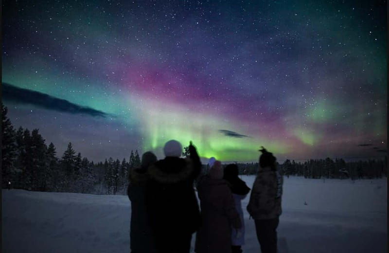 Saariselkä,Kakslauttanen: Aurora Hunting & Photography Tour. - Price and Value