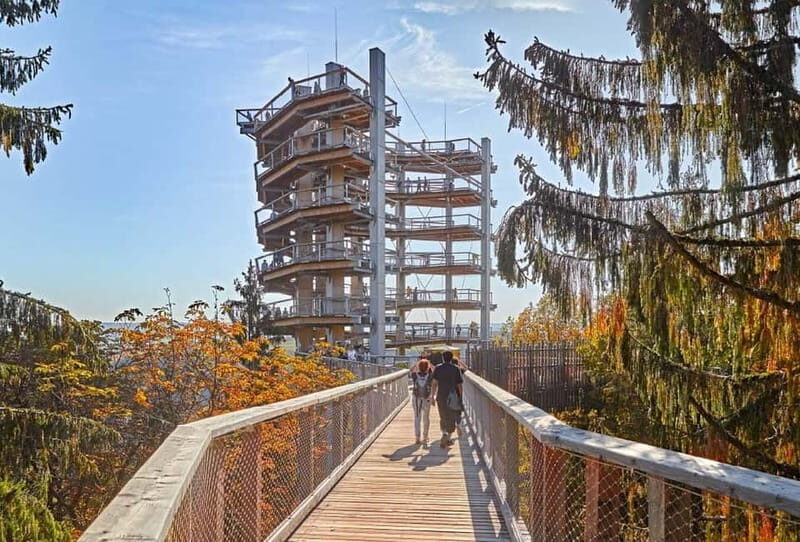 Saarland: Treetop Walk Saarschleife & Lookout Tower - Good To Know