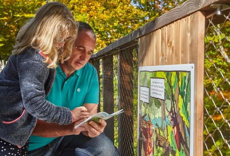 Saarland: Treetop Walk Saarschleife & Lookout Tower - Exploring the Treetop Walk Saarschleife: A Closer Look