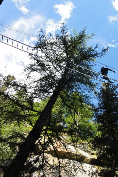 Saas-Fee: Gorge Alpine Via Ferrata and Flying Fox Tour - Frequently Asked Questions